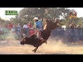 ¡¡ PURO JINETE SELECCIONADO !! Rancho El Navegante En Piritzio, Mich.