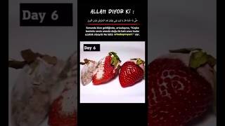 Arkadaşına Dikkat Et Ş Ayet