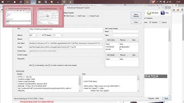 Detecting XSS with Advanced Request Fuzzer