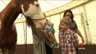 Cavalia in Australia - Channel 7 News March 24, 2013