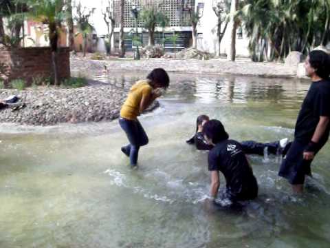 Animetropolis (Fabii al agua).