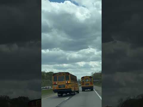 #School buses in America #shortvideo #คนไทยในต่างแดน
