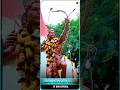 Hul Maha...||🥀New Santali Song Whatsapp Status Video 2023☘️//30th June//#shorts#viral#status#santali