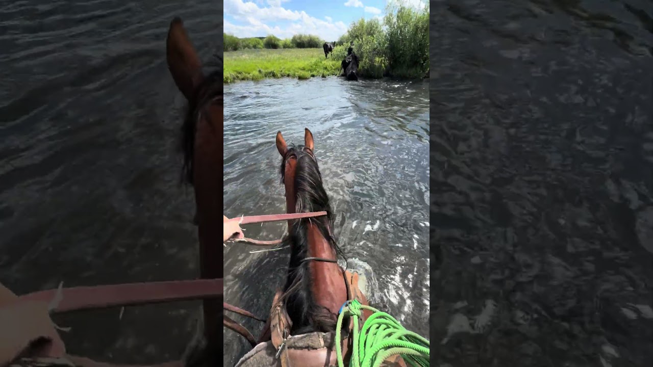 Week 1 versus week 5 of ranching