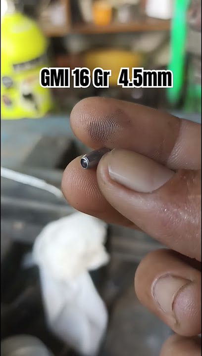 slug GMI 4.5mm #shorts #shortvideo #burungbelibis