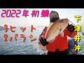 瀬戸内海 下津井沖、３ヒット２バラシでやっと2022年初鯛が釣れた！　タイラバじゃなくてスーパーライトジギングでした！