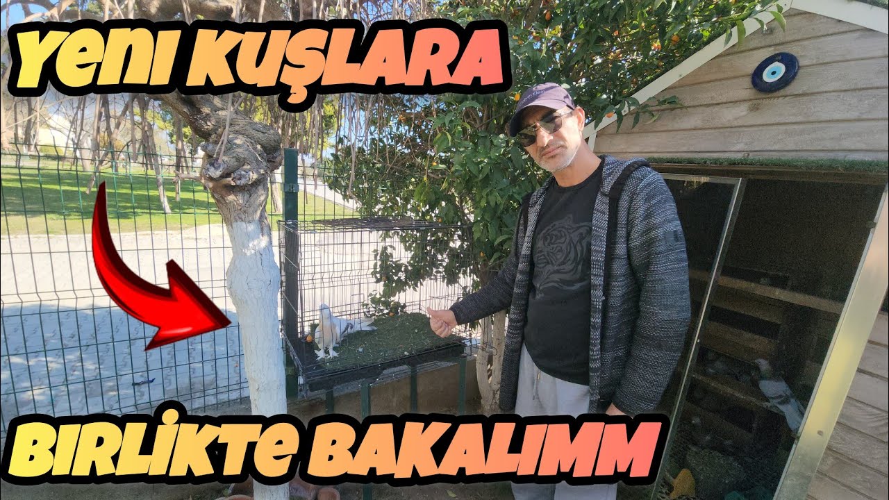 Gökhan Reisin Bahçedeki Yeni Kuşlarına Bakalım Çok Güzel Güvercinler
