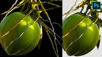 Xoá nền bằng Magic Wand trong Photoshop