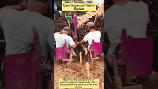 Smart Farming: High-Speed Sugarcane Planter Machine #satisfying