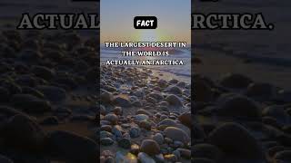 Mystery Fact: 🕵️‍♂️🔍🔒 #SecretsUnveiled #EnigmaticDiscoveries #UnravelTheUnknown