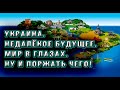 Украина. Будущее. В мозге настал мир. Жизнь налаживается.