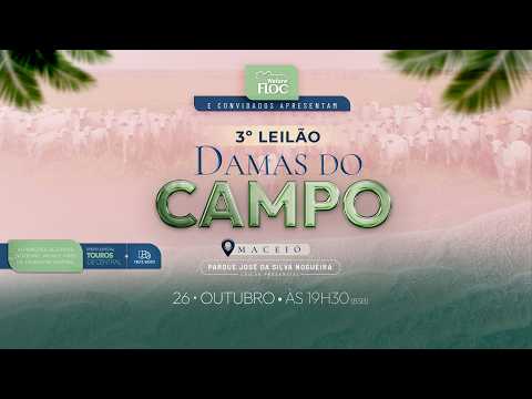 LOTE 15