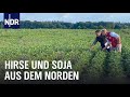 Hirse, Kichererbsen und Soja aus dem Norden | Die Nordreportage | NDR Doku