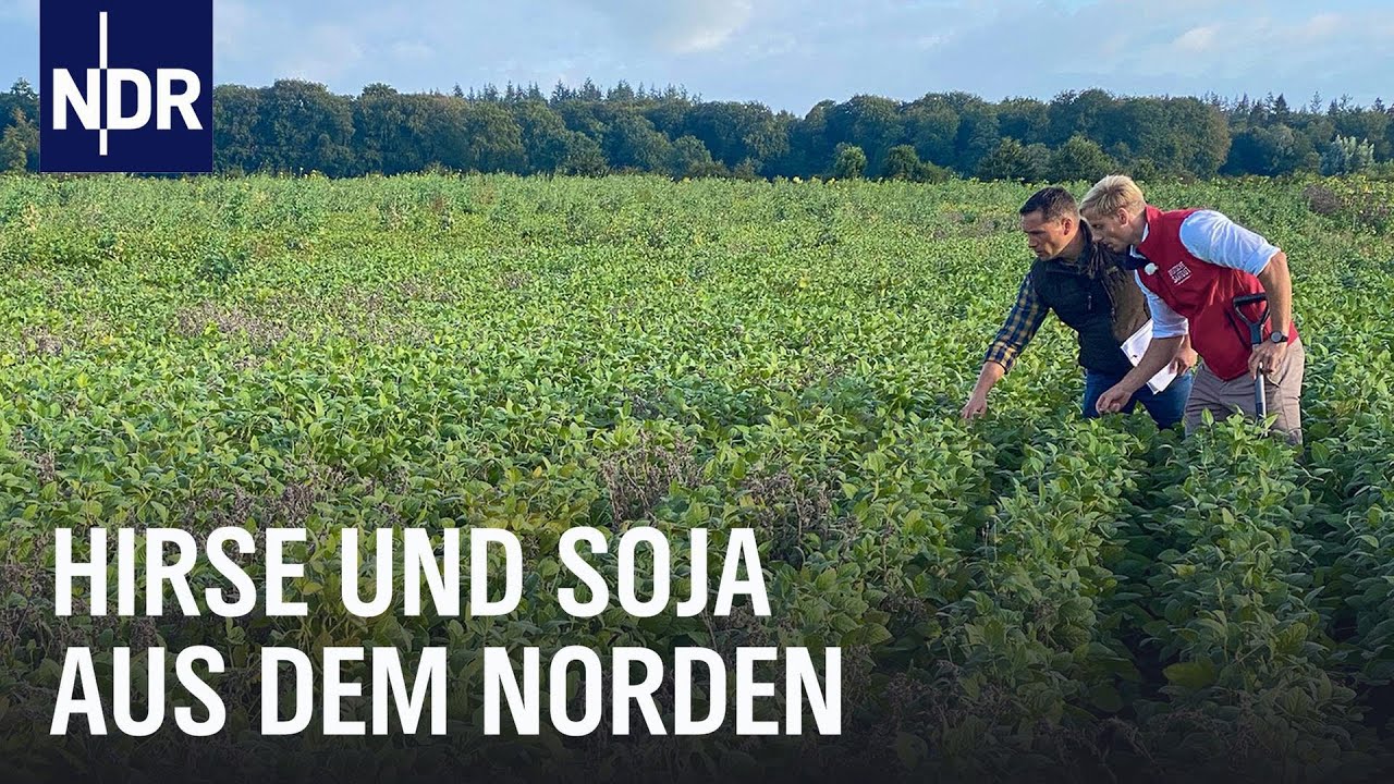 Hirse, Kichererbsen und Soja aus dem Norden | Die Nordreportage | NDR Doku