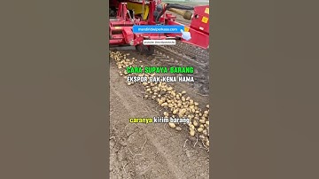 Cara Agar Barang Ekspor Gak Kena Hama #caraekspor #syaratekspor #tipsekspor #fumigasi #fitosanitari