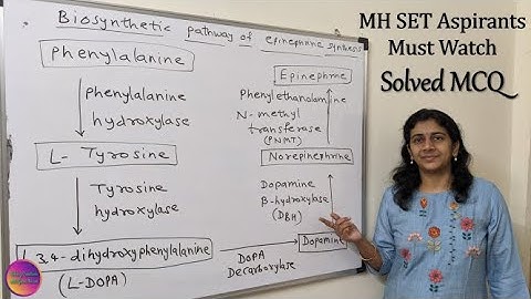 Solved MCQ |MH SET 2018 | Solving Questions with Gauri ma’am