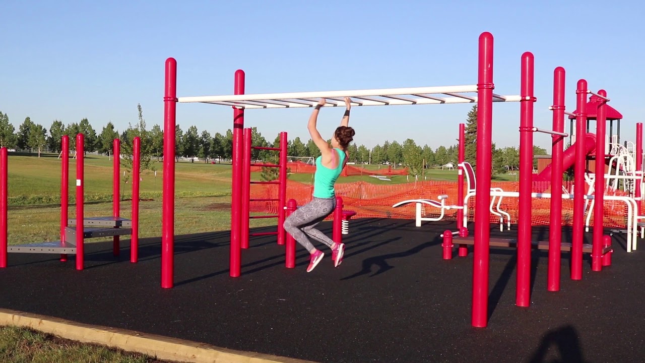 park monkey bars