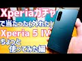 Xperia 5 IV ちょっと使ってみた!ステレオスピーカーは?カイロ機能は?【Xperiaガチャ】