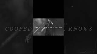 cooped up x she knows [slowed] - drake x post malone (part 1) #shorts #remix