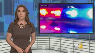 Boy, 15, Critically Wounded In Morgan Park Shooting