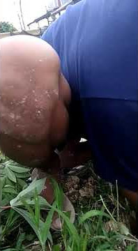 MENIRU GAYA AGOS KOTAK