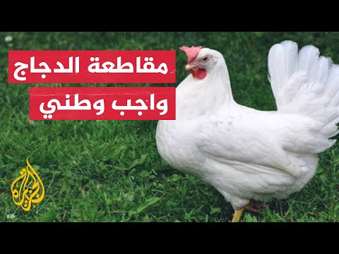 بعد ارتفاع جنوني في أسعاره.. حملة مقاطعة الدجاج في الأردن والسعودية