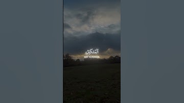 سورة الحشر 🤍  |  الشيخ ياسر الدوسري |  تلاوةالقران المبين | #قران #قران_كريم #ياسر_الدوسري #الله