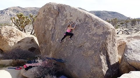 Ayatollah of Rock and Rolla* (V0-) Flash - Joshua Tree