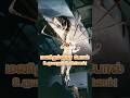 92/100 Movie Challenge The Thing #cinephile #moviereview #scifi #horror #meme #funny #comedy #tamil