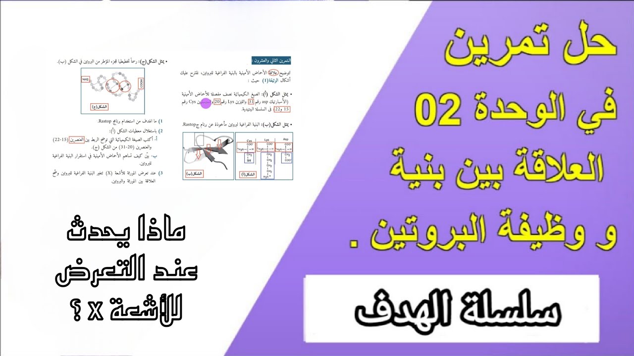 حل تمرين رقم 12 في الوحدة 2 : العلاقة بين بنية البروتين و وظيفته .