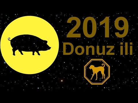 Video: Donuz üçün Bu Il Nə Olacaq