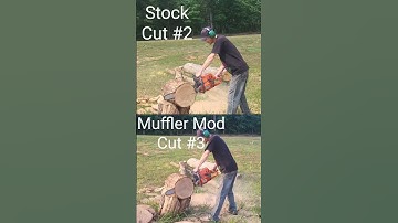 26% MUFFLER MOD GAINS!!! Husqvarna 562xp Mk1 #chainsaw #powersaw #modified #husqvarna