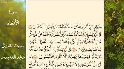 سورة الأنعام بصوت القارئ خالد الغامدي  Surah Al-An'am  (Khaled Al-Ghamdi)