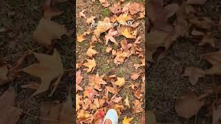 Autumn in Perth feels good. #selfcare #quite #peaceful
