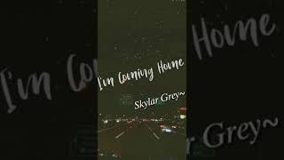Skylar Grey-I'm Coming Home(Lyrics)