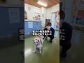 愛犬の検査結果に変化がありました