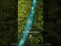 علماء يحذّرون  تغيّر المناخ يقلّل الأكسجين في الأنهار حول العالم
