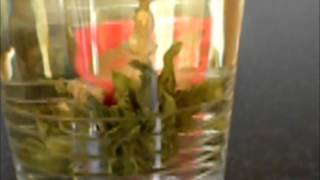 Marias Moon Flower Movie