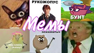 Мемы из Pinterest💜Смешные💜 Nastenka Parukava