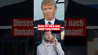 Tier wurde nach Trump benannt! #drdubbert #facts #tiere #insekten #wissen