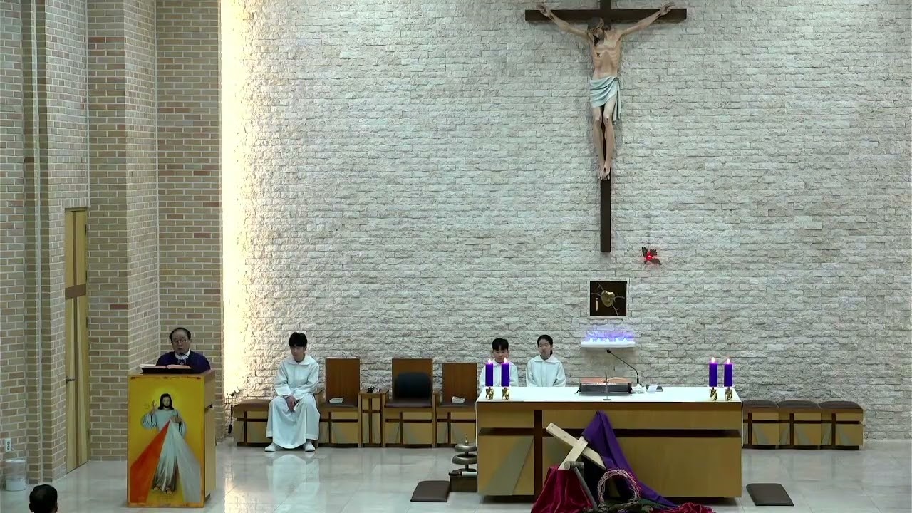하느님의 자비 청라성당 2026 03 03 사순 제2주간 화요일
