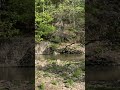 Trough Creek