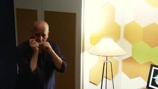 Dil Laga Kar Hum Ye Samjhe  Instrumental Harmonica  Manoj Shrimali