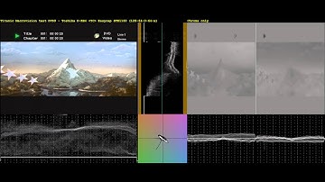 Macrovision brightness/contrast effect on Easycap (STK1160)