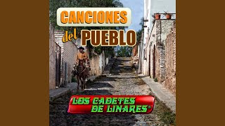 Video thumbnail of "Los Cadetes De Linares - Cruzando el Puente"