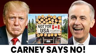 Trump Claimed the U.S. Doesn’t Need Canada’s Lumber — Reality Hit Fast!