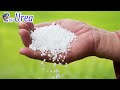 தென்னைக்கு இப்படி தான் தண்ணீர் குடுக்கணுமா ?Is this how you water a coconut?#trending#viral#video#