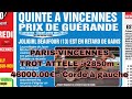 23 février 2024 quinte 1 Course 8 - PARIS-VINCENNESTROT ATTELE - 2850m - 46000.00€ - Corde à gauche