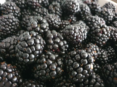 Video: Gem De Mure: Rețete Pentru Iarnă Cu Fructe De Pădure întregi, Gelatină, Cinci Minute, într-un Aragaz Lent