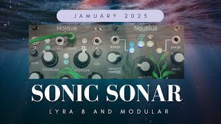 Sonic Sonar: A Lyra-8 and Modular Journey Through Call and Response